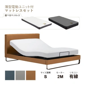 フランスベッド 電動ベッドセット IQベッド IQモンテカルロRX マイクロRX-DLX