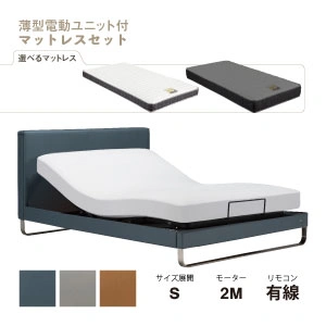 フランスベッド　電動ベッドセット　IQベッド　IQモンテカルロRX