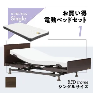 フランスベッド 電動ベッドセット レステックス-02FN レッグ マイクロRX-DLX 非課税対象