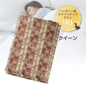 【枚数限定】 フランスベッド 羽毛ふとん アントス オールシーズンタイプ クイーン