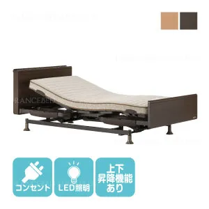 【非課税】 フランスベッド 電動ベッドフレーム レステックス-05C 3モーター シングル
