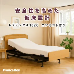 【非課税】 フランスベッド 電動セット レステックス102C 2モーター RX-STD-EX