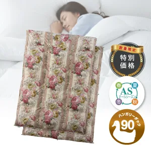 フランスベッド 羽毛ふとん セレーヌ羽毛JO オールシーズンタイプ