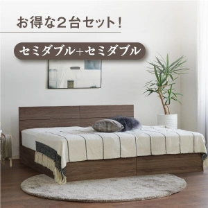 フランスベッド ツインベッドセット エコモア01F 引き出し / TW-205PW MON
