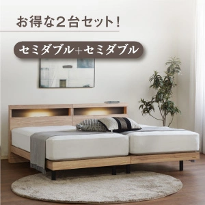 フランスベッド ツインベッドセット エコモア02C レッグ / N-スタンダード02
