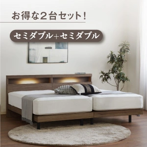 フランスベッド ツインベッドセット エコモア02C レッグ / N-スタンダード02