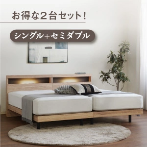 フランスベッド ツインベッドセット エコモア02C レッグ / N-スタンダード02