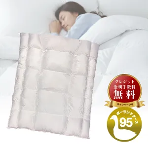 フランスベッド 羽毛ふとん ヴェルモラ02