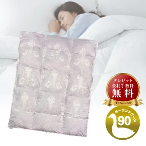 フランスベッド 羽毛ふとん ヴェルモラ03