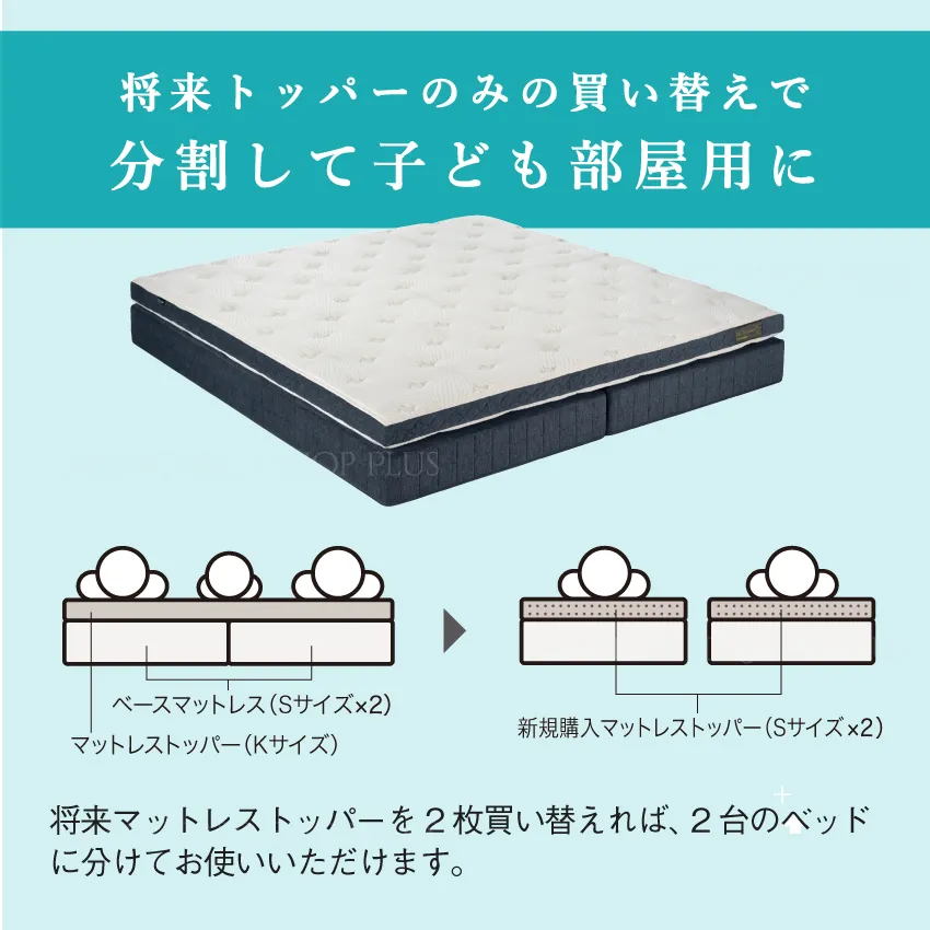 フランスベッド マットレス LT-Plus LXAg ハード