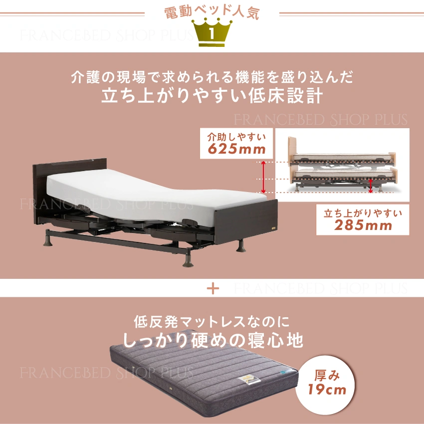 非課税】 フランスベッド 電動セット レステックス101F 2モーター RX