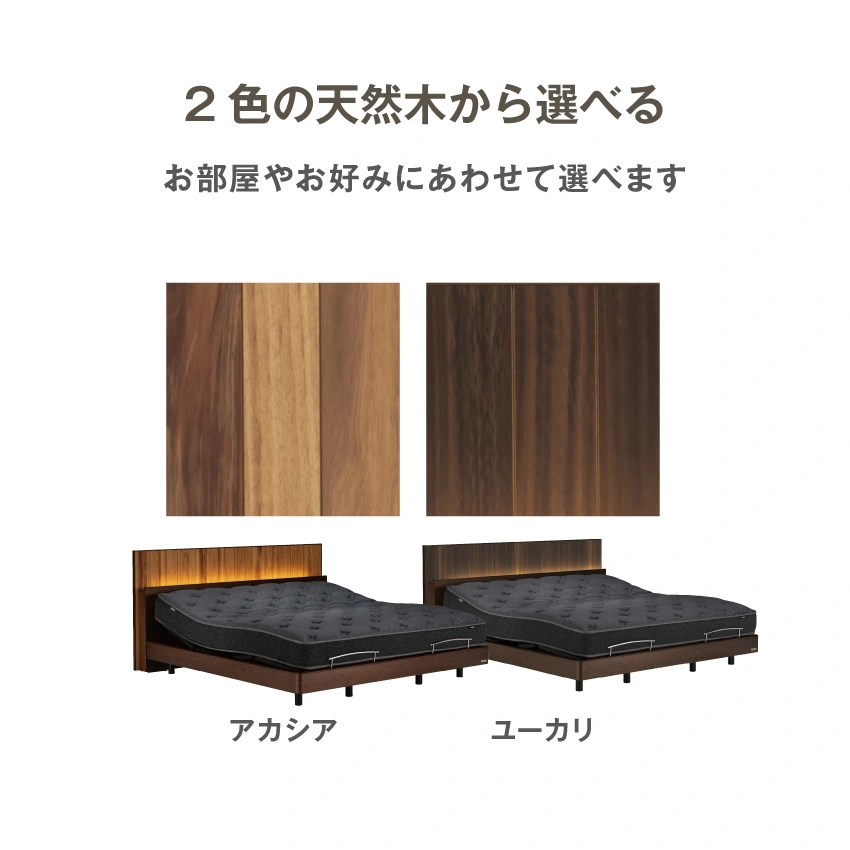ボステッソ選べる2色 アカシア,ユーカリ