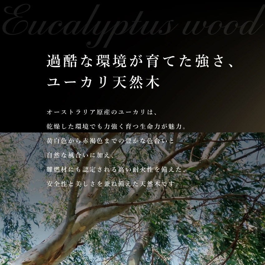 天然木ユーカリのイメージ画像