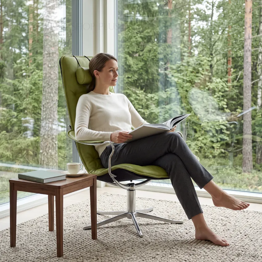 フランスベッド コンフォルム パーソナルチェア Bravo Chair