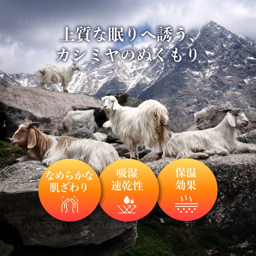 綿花畑の画像にコットンの特長を記載した画像