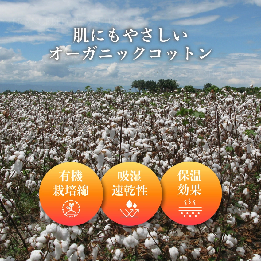 綿花畑の画像にコットンの特長を記載した画像