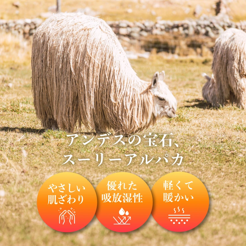 綿花畑の画像にコットンの特長を記載した画像