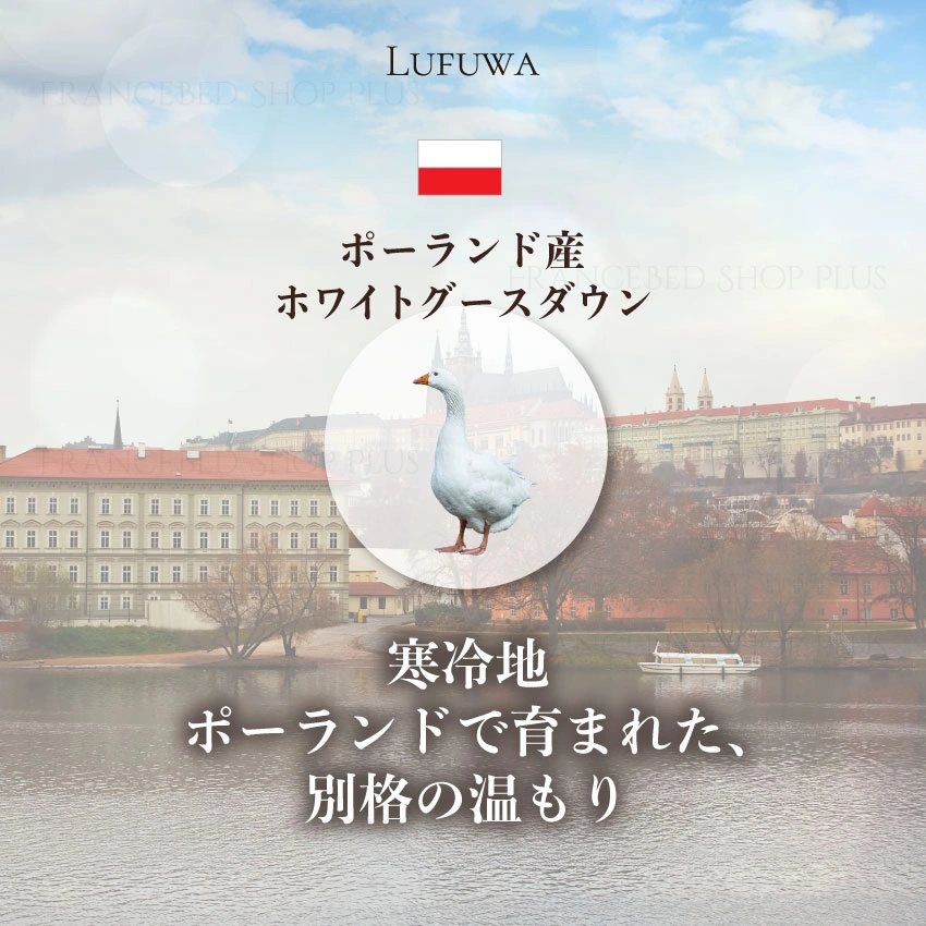 東京ベッド 羽毛布団 ルフワはポーランド産グースダウン