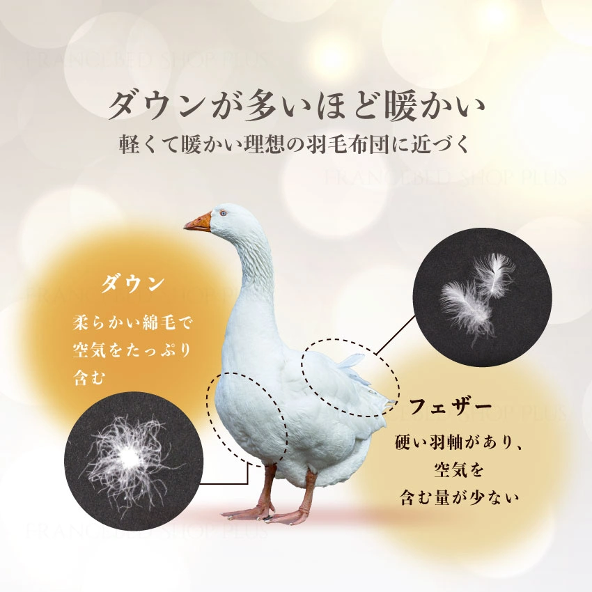 東京ベッド 羽毛布団 ダウンとフェザーの違い