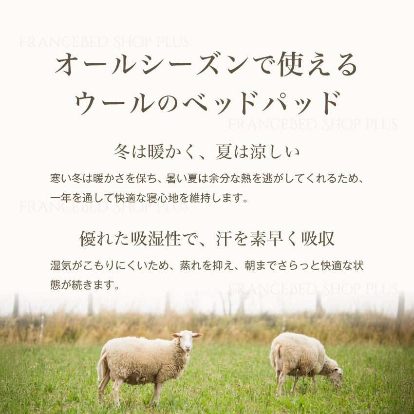 ウールの魅力