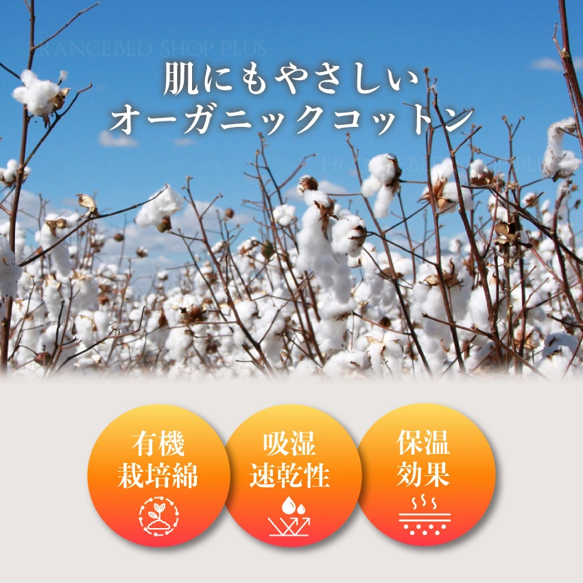 綿花に寄ったオーガニックコットンをイメージした画像