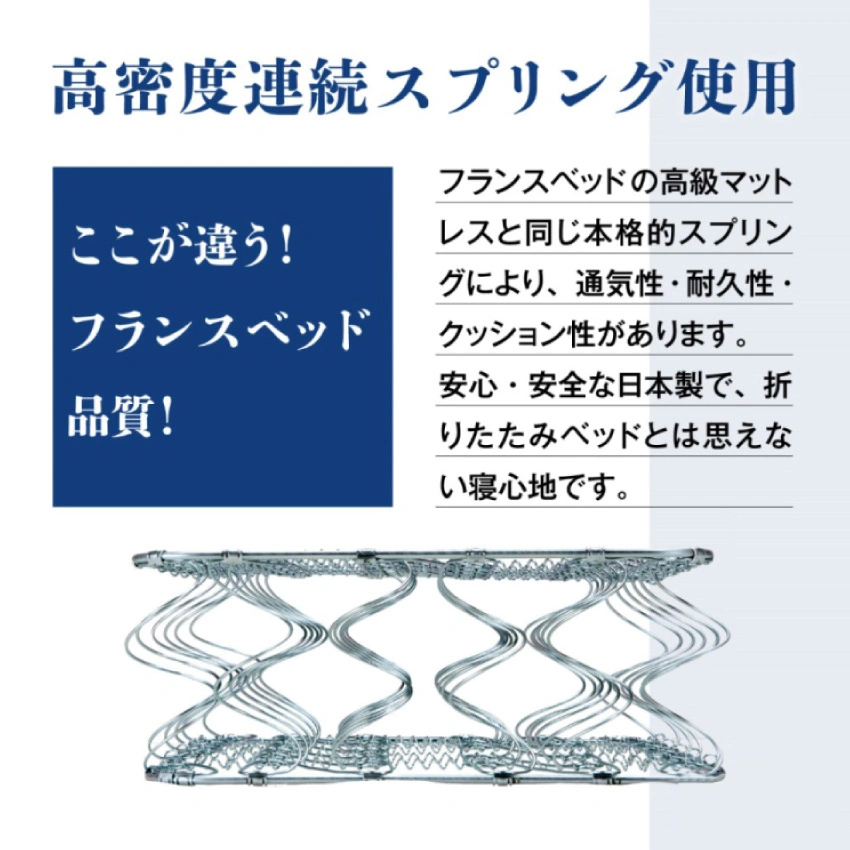 フランスベッド パンテオンN71-A/N71-B