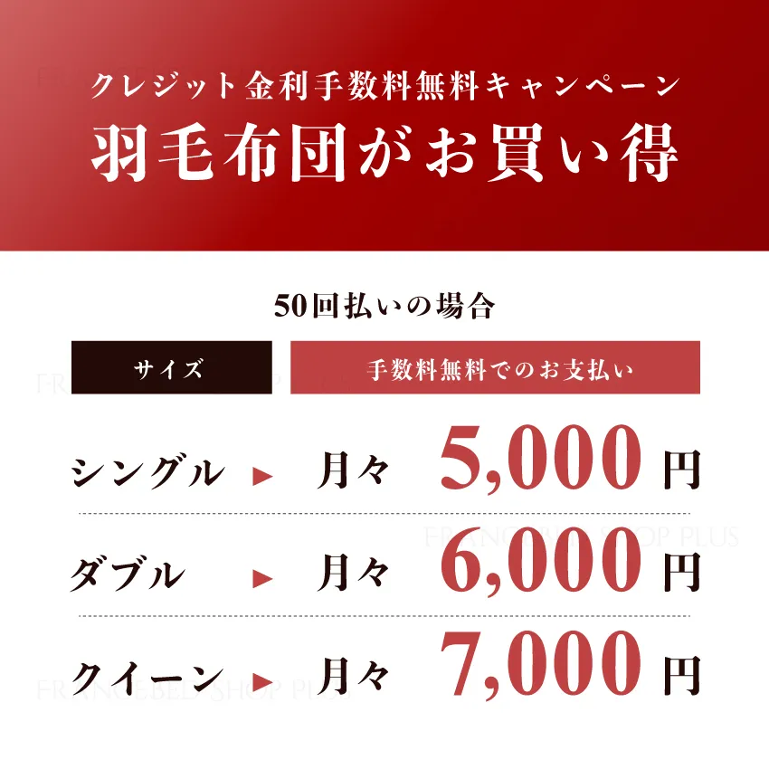最大50回払い 5,000円～