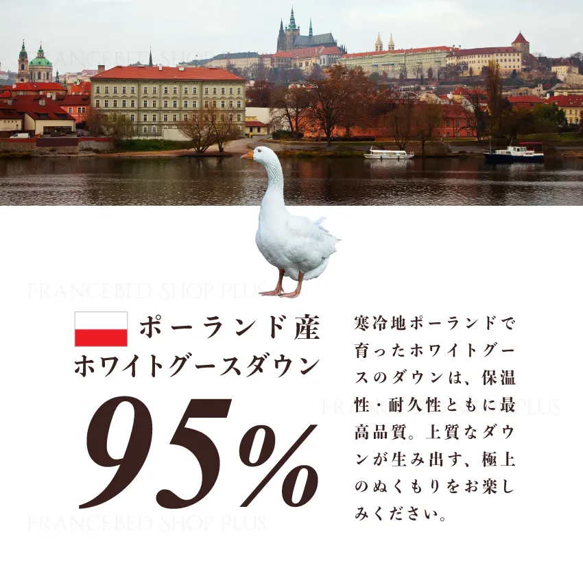 ポーランド産ホワイトグースダウン95%