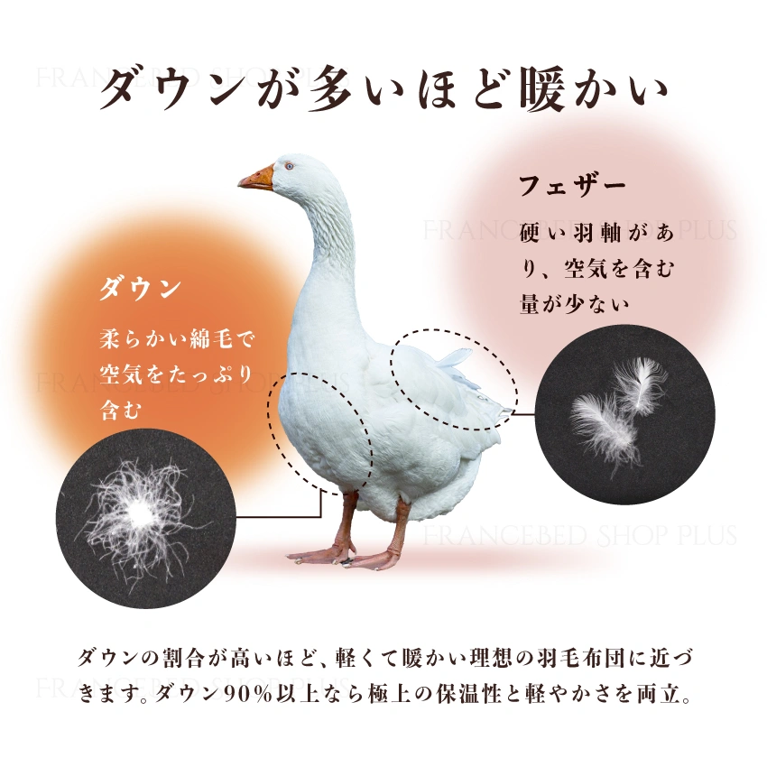 ダウンとフェザーの違い