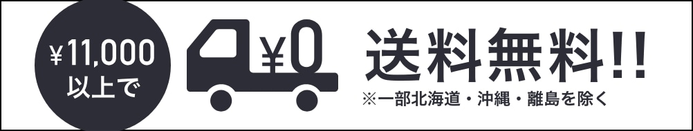 税込11,000円以上のお買い上げで送料無料※一部地域を除く