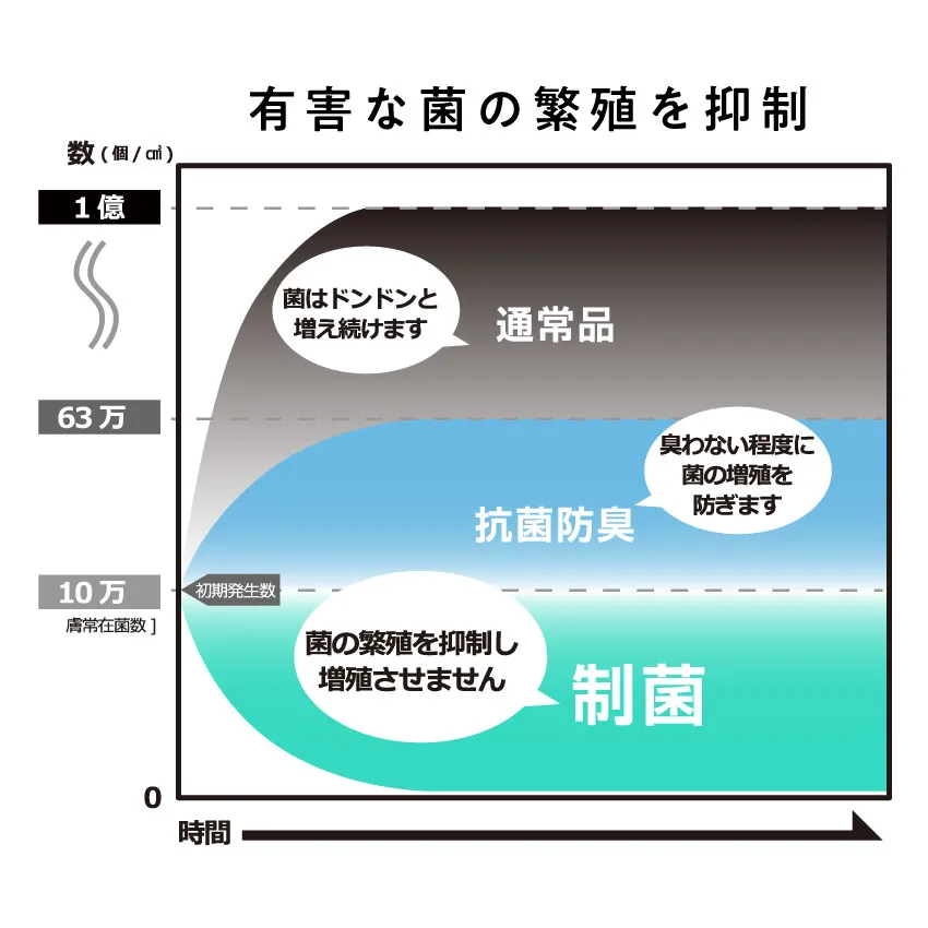 カラー展開