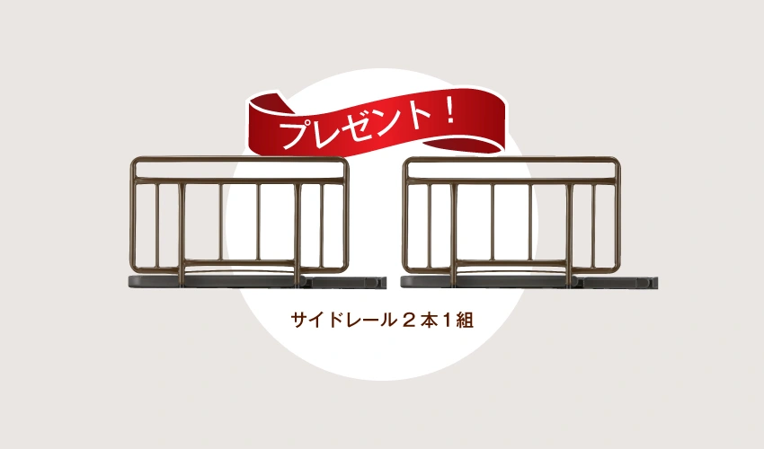 フランスベッド 電動ベッド サイドレール