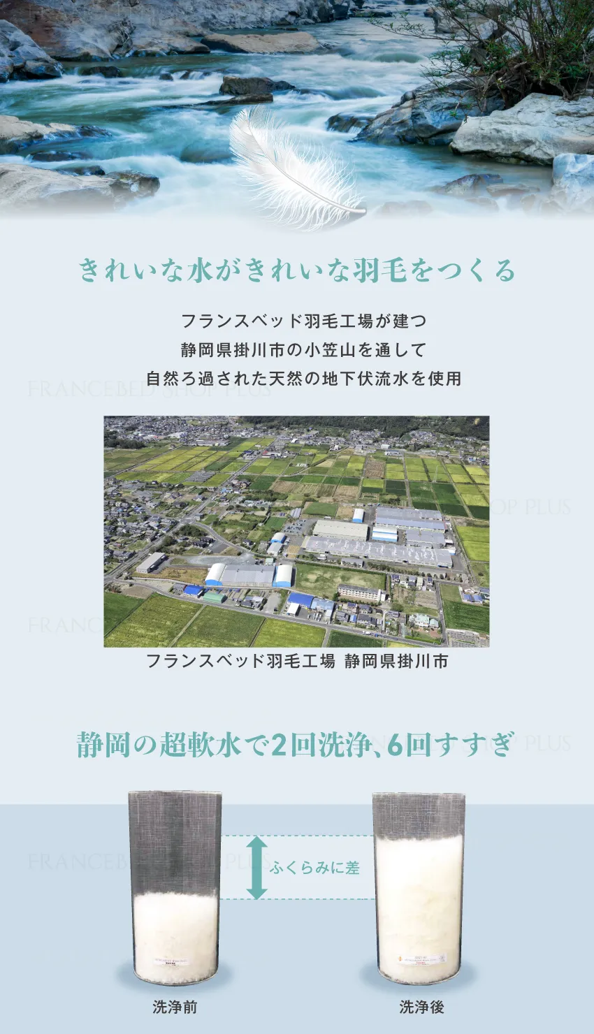 静岡の超軟水で2回洗浄、6回すすぎ