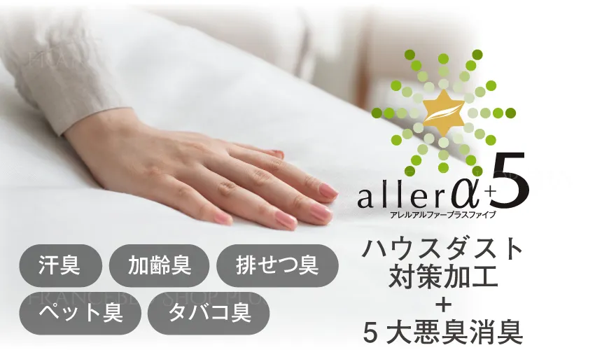 アレルα＋５加工