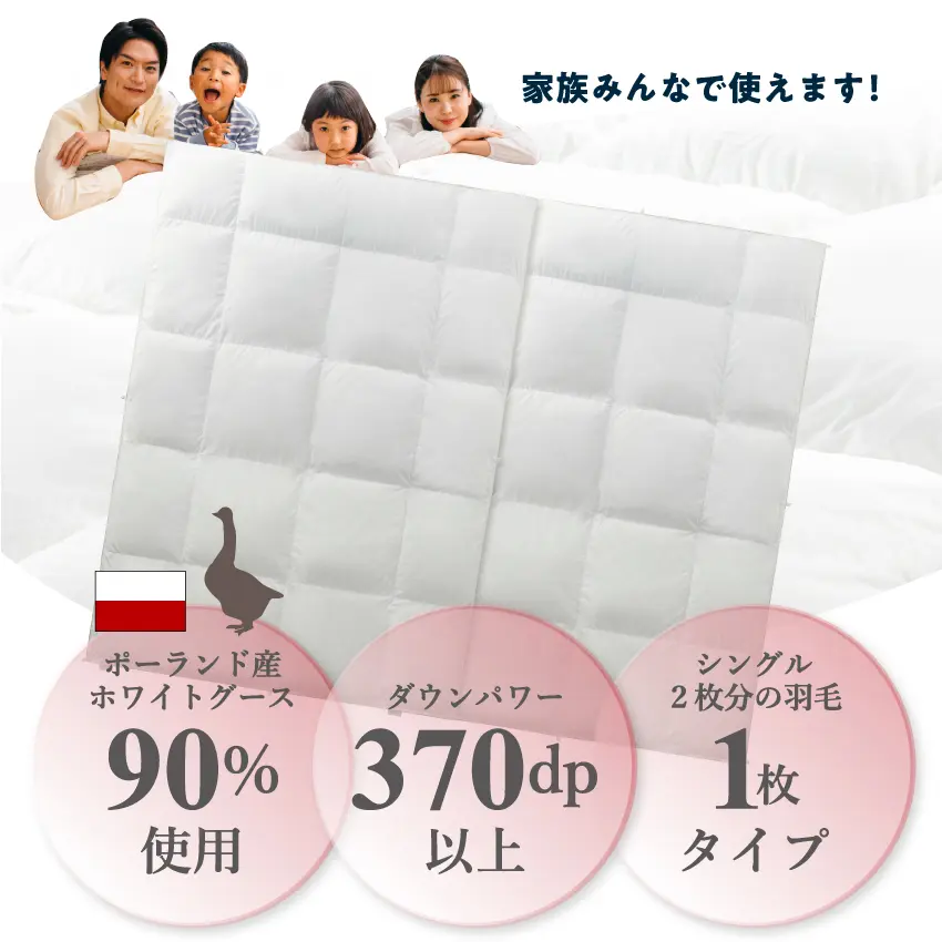 フランスベッド カスタム羽毛 CS-05イメージ画像