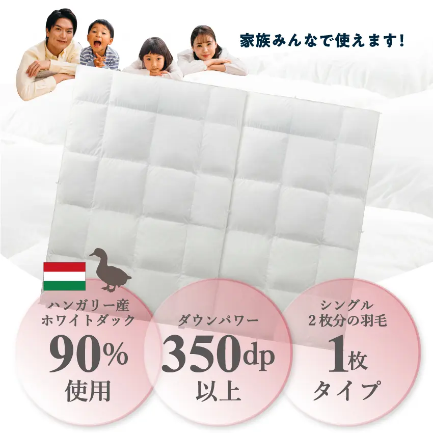 フランスベッド カスタム羽毛 CS-05イメージ画像