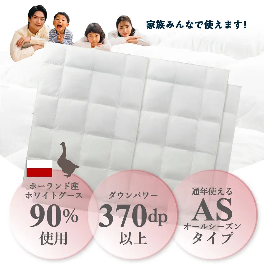 フランスベッド カスタム羽毛 CS-05イメージ画像