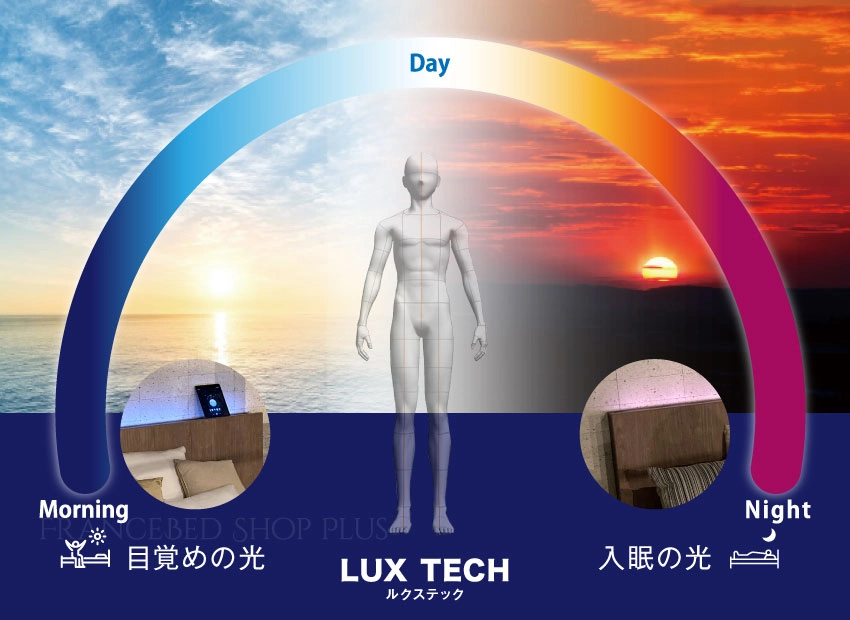 ルクステックを説明するイメージ画像