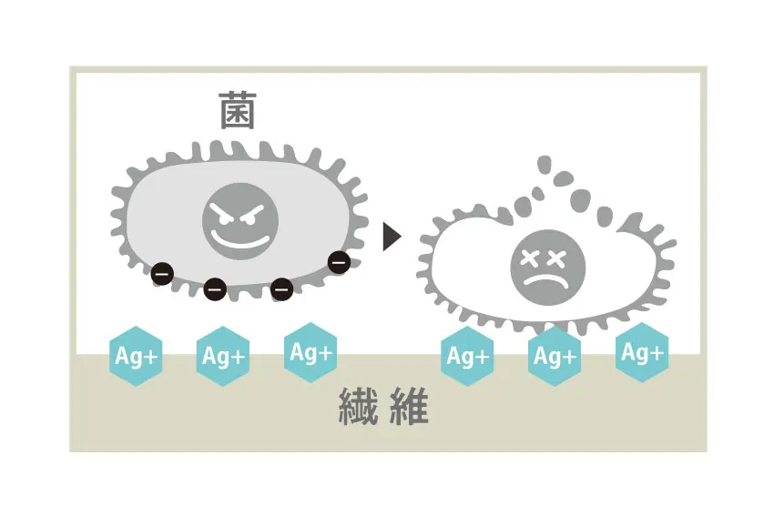 銀イオンの働きを示したイラストレーション