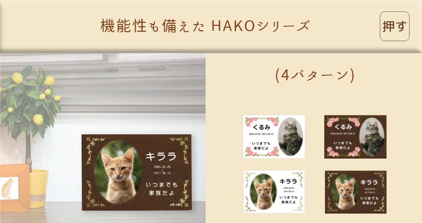 HAKO(4パターン)