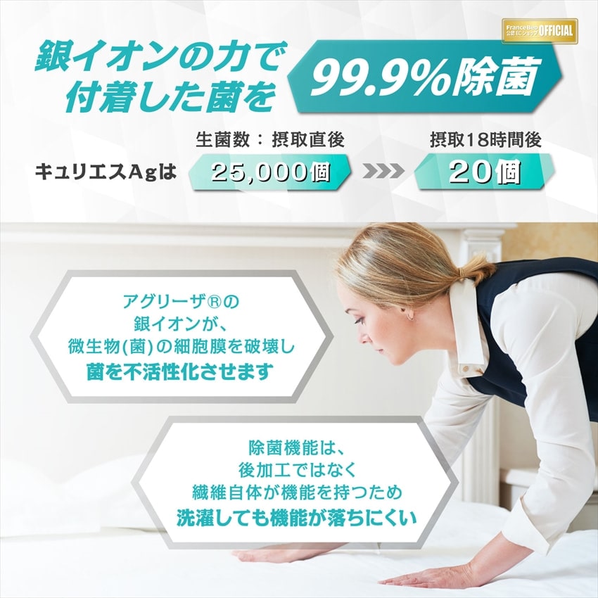 キュリエス・エージー ピロー｜【公式通販】フランスベッド販売