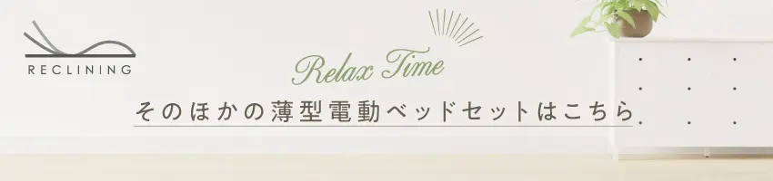 普通のベッドが電動ベッドに！安心安全の日本製薄型電動ベッドセットラインナップリンク