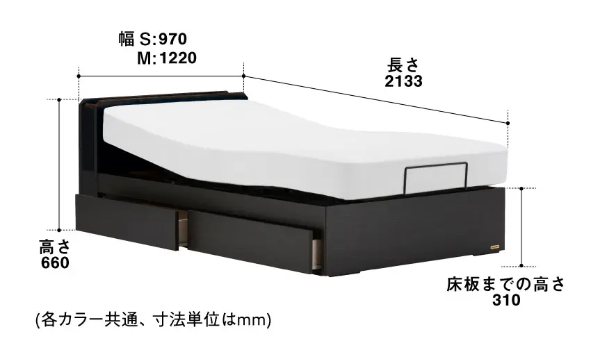 フランスベッド 薄型電動ベッドセット UD-102C 引出し付(ダーク): 通常