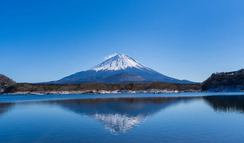 フジヤマ織