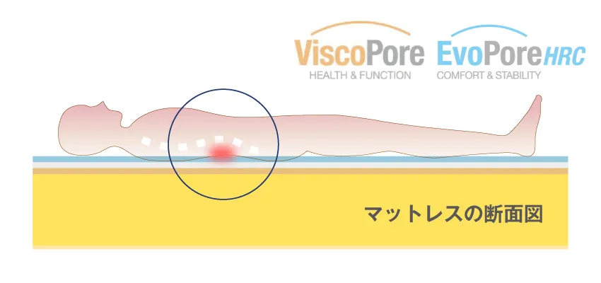 腰にあたる部分のフォームをしっかり支えてくれるから理想の寝姿勢を維持できます