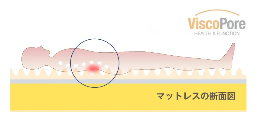 腰にあたる部分のフォームをしっかり支えてくれるから理想の寝姿勢を維持できます